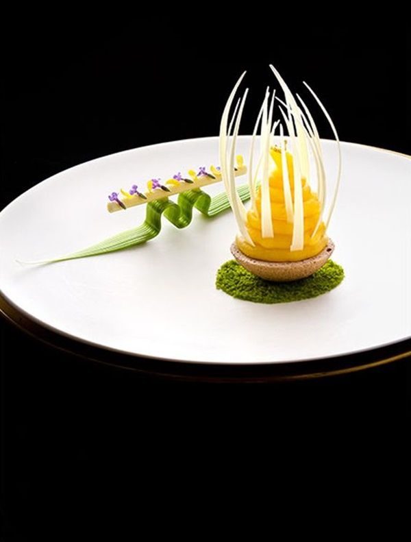 Artistic Presentation